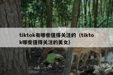 tiktok有哪些值得关注的（tiktok哪些值得关注的美女）