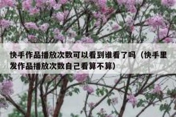 快手作品播放次数可以看到谁看了吗（快手里发作品播放次数自己看算不算）