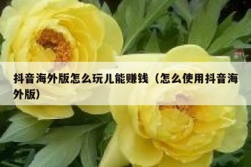 抖音海外版怎么玩儿能赚钱（怎么使用抖音海外版）
