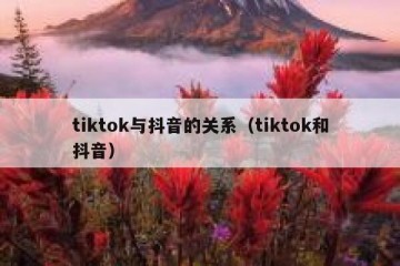 tiktok与抖音的关系（tiktok和抖音）