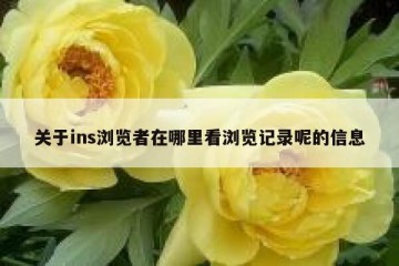 关于ins浏览者在哪里看浏览记录呢的信息