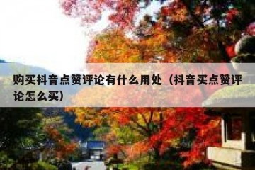 购买抖音点赞评论有什么用处（抖音买点赞评论怎么买）