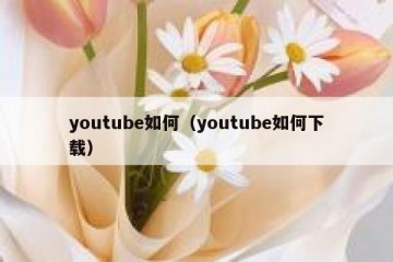 youtube如何（youtube如何下载）