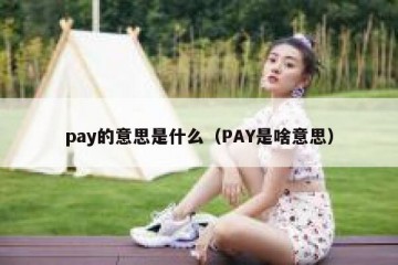 pay的意思是什么（PAY是啥意思）