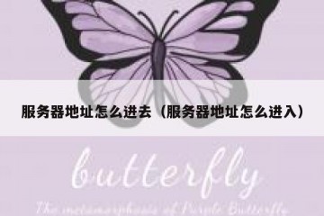 服务器地址怎么进去（服务器地址怎么进入）