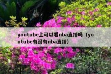 youtube上可以看nba直播吗（youtube有没有nba直播）