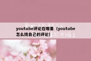 youtube评论在哪里（youtube怎么找自己的评论）