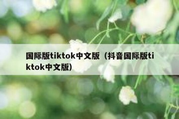 国际版tiktok中文版（抖音国际版tiktok中文版）