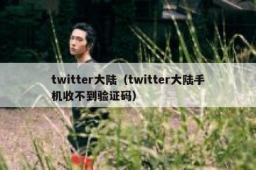 twitter大陆（twitter大陆手机收不到验证码）