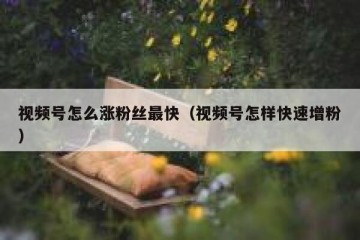 视频号怎么涨粉丝最快（视频号怎样快速增粉）