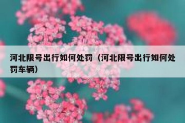 河北限号出行如何处罚（河北限号出行如何处罚车辆）