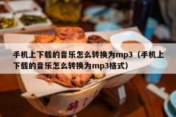 手机上下载的音乐怎么转换为mp3（手机上下载的音乐怎么转换为mp3格式）