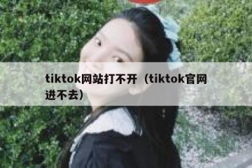 tiktok网站打不开（tiktok官网进不去）