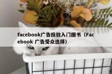 facebook广告投放入门图书（Facebook 广告受众选择）