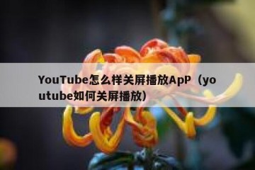 YouTube怎么样关屏播放ApP（youtube如何关屏播放）