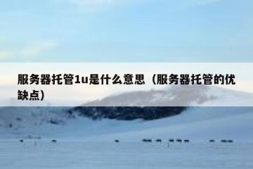 服务器托管1u是什么意思（服务器托管的优缺点）