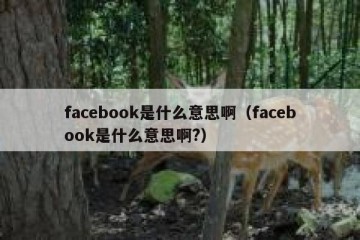 facebook是什么意思啊（facebook是什么意思啊?）