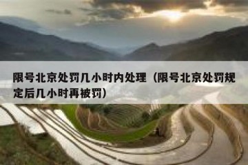 限号北京处罚几小时内处理（限号北京处罚规定后几小时再被罚）