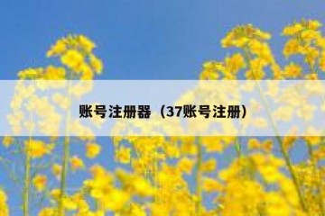 账号注册器（37账号注册）