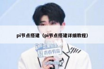 pi节点搭建（pi节点搭建详细教程）