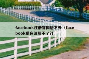 facebook注册官网进不去（facebook现在注册不了?）