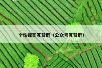 个性标签互赞群（公众号互赞群）