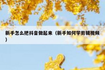 新手怎么把抖音做起来（新手如何学剪辑视频）