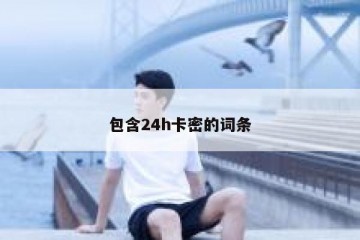 包含24h卡密的词条