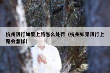 杭州限行如果上路怎么处罚（杭州如果限行上路会怎样）