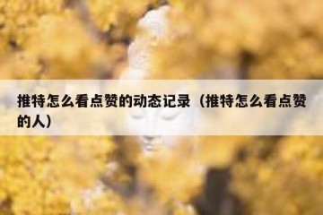 推特怎么看点赞的动态记录（推特怎么看点赞的人）