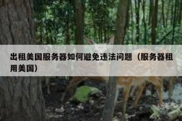 出租美国服务器如何避免违法问题（服务器租用美国）