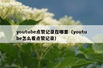 youtube点赞记录在哪里（youtube怎么看点赞记录）