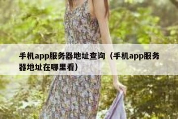 手机app服务器地址查询（手机app服务器地址在哪里看）
