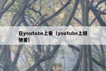 在youtube上看（youtube上随便看）
