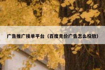 广告推广接单平台（百度竞价广告怎么投放）