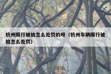 杭州限行被拍怎么处罚的呀（杭州车辆限行被拍怎么处罚）