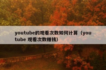youtube的观看次数如何计算（youtube 观看次数赚钱）