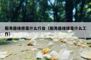 服务器维修是什么行业（服务器维修是什么工作）