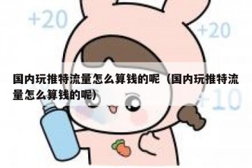 国内玩推特流量怎么算钱的呢（国内玩推特流量怎么算钱的呢）