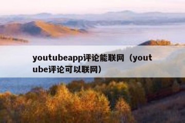 youtubeapp评论能联网（youtube评论可以联网）