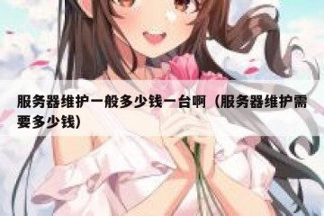 服务器维护一般多少钱一台啊（服务器维护需要多少钱）