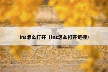 ins怎么打开（ins怎么打开链接）