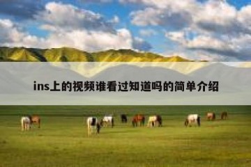 ins上的视频谁看过知道吗的简单介绍