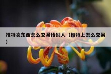 推特卖东西怎么交易给别人（推特上怎么交易）