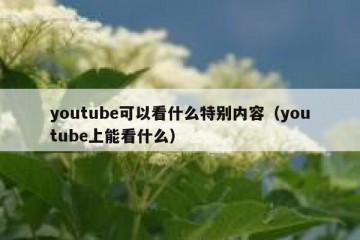 youtube可以看什么特别内容（youtube上能看什么）