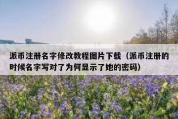 派币注册名字修改教程图片下载（派币注册的时候名字写对了为何显示了她的密码）