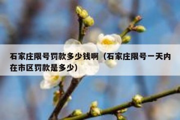 石家庄限号罚款多少钱啊（石家庄限号一天内在市区罚款是多少）