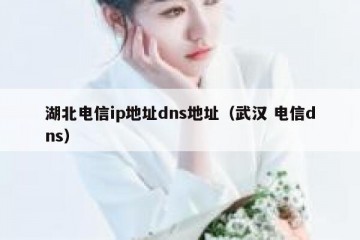 湖北电信ip地址dns地址（武汉 电信dns）