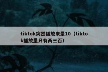 tiktok突然播放来量10（tiktok播放量只有两三百）
