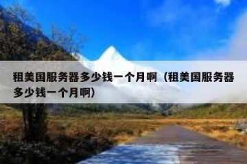 租美国服务器多少钱一个月啊（租美国服务器多少钱一个月啊）
